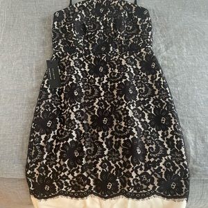 Brand new lace dress, part of the Scandal collection from The Limited.